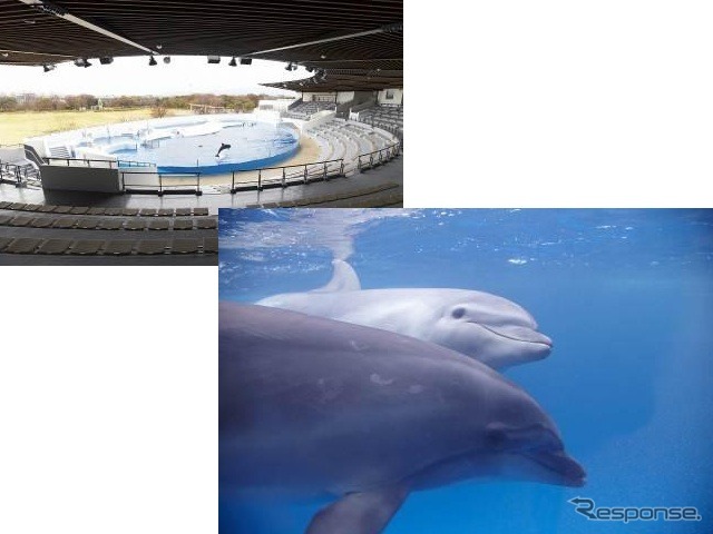 京都水族館イルカスタジアム