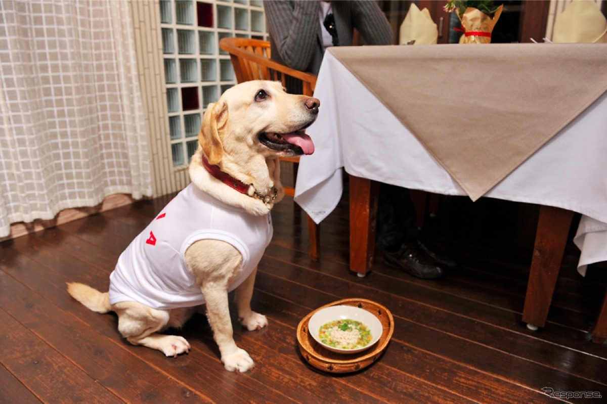 夕食を前に我慢できないようすのマリア