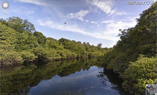 アマゾン川流域（ネグロ川）