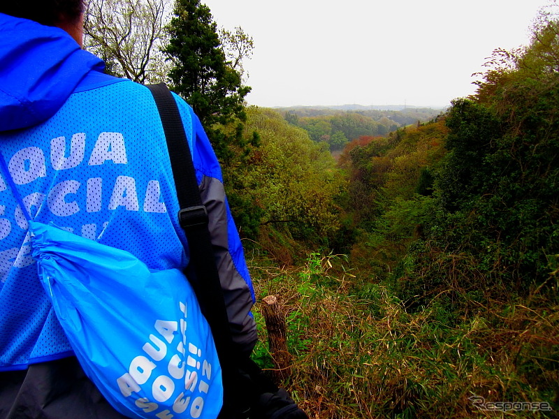 尾根から鶴見川源流となる谷を見つめる