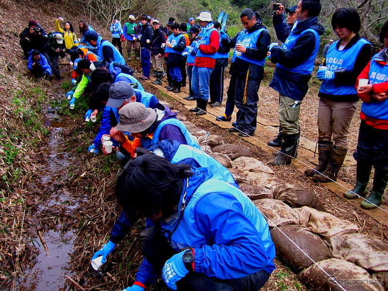 紙コップに入ったゲンジボタルの幼虫2～3匹を土へと放流