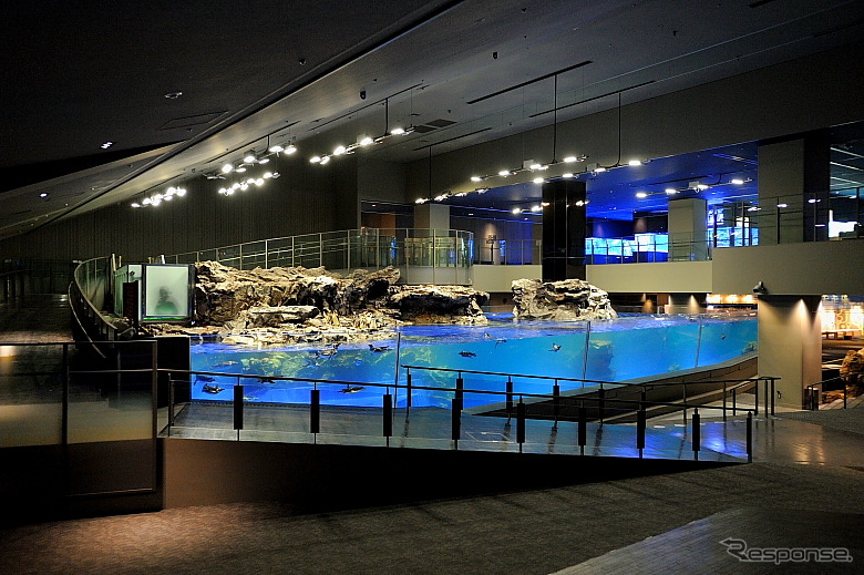 初めて公開されたすみだ水族館の館内