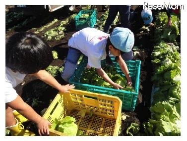 「モスフードサービス 農業体験」の昨年の様子