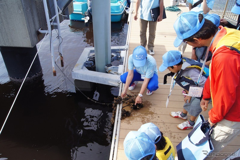 「Think Blue. 生き物体験ツアー」の様子。