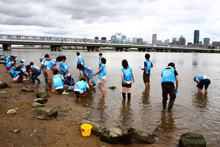 阪神高速11号池田線・東海道線の橋梁ちかくの淀川に生息する生き物を確認