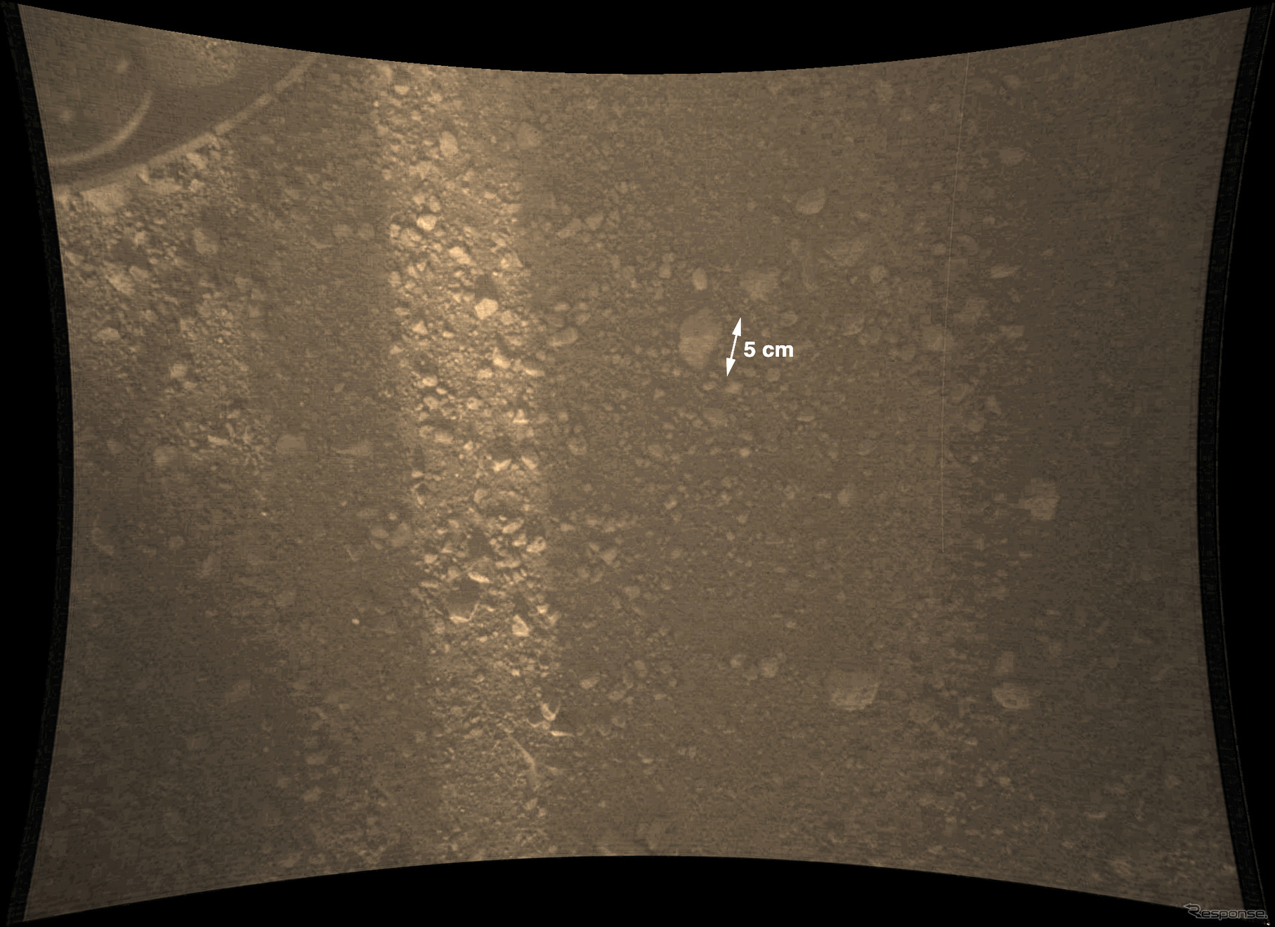 火星の地表画像