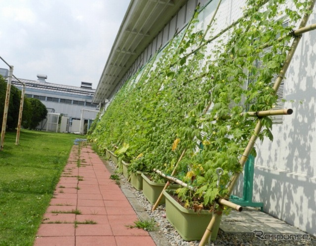 ブリヂストン 栃木工場