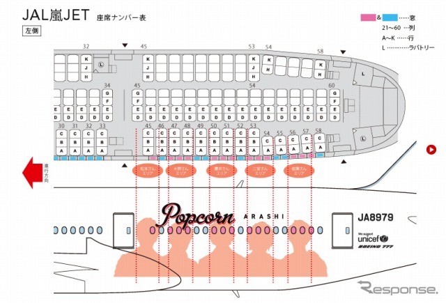 特別デカール機「JAL嵐JET」