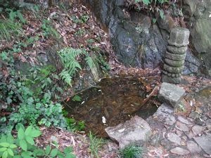 杭州　日本茶の原点を見に行く　（7）　杭州　径山寺と茶