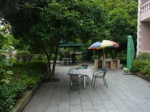 杭州　日本茶の原点を見に行く　（4）　杭州　梅家烏鎮　再び