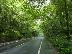 杭州　日本茶の原点を見に行く　（2）　杭州　中天竺へ