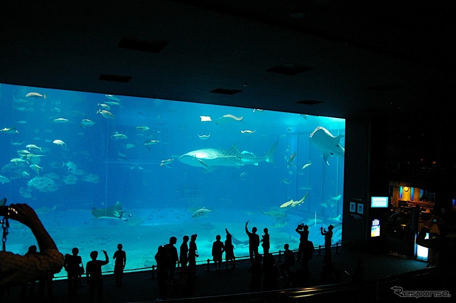 沖縄美ら海水族館