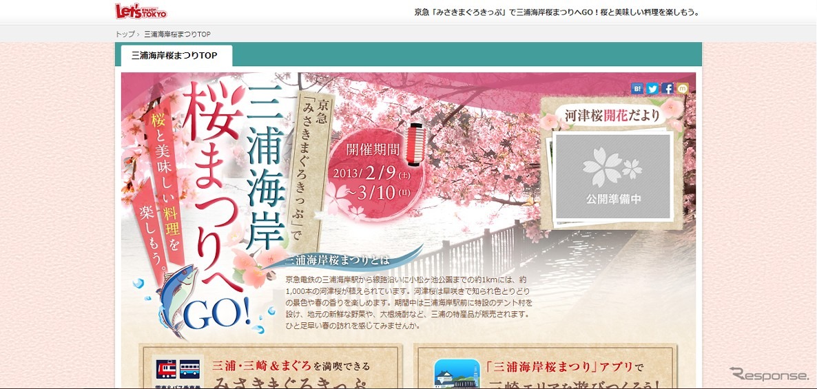 三浦海岸桜まつり