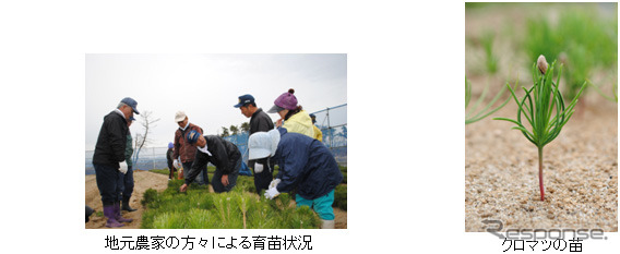ANA エコトライアルフライト2013、期間限定で実施