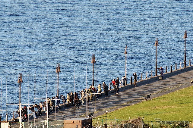 大黒ふ頭で唯一、一般の立ち入りが認められた海づり公園には早朝にもかかわらず、大勢のギャラリーが集まった。