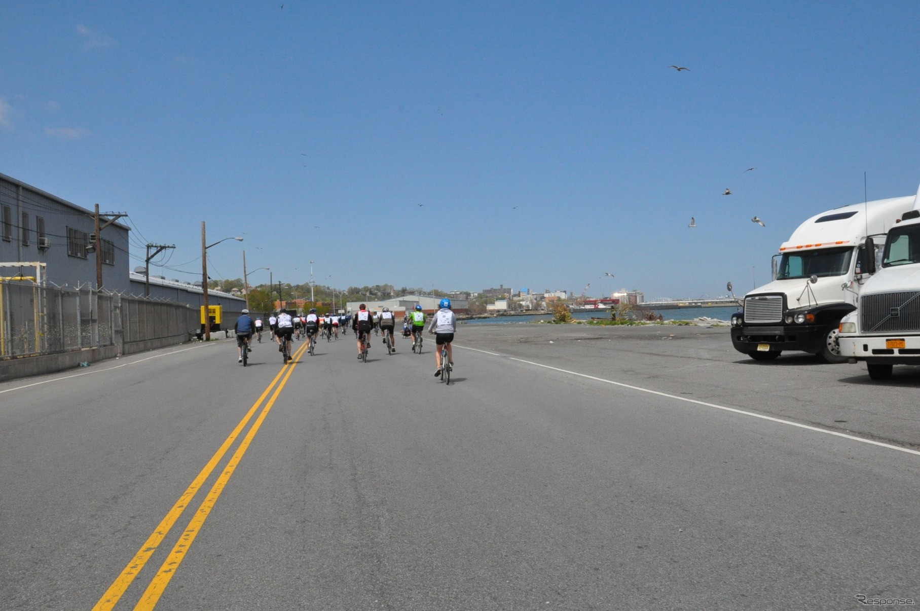 昼食会場からゴールのフェリーターミナルへ