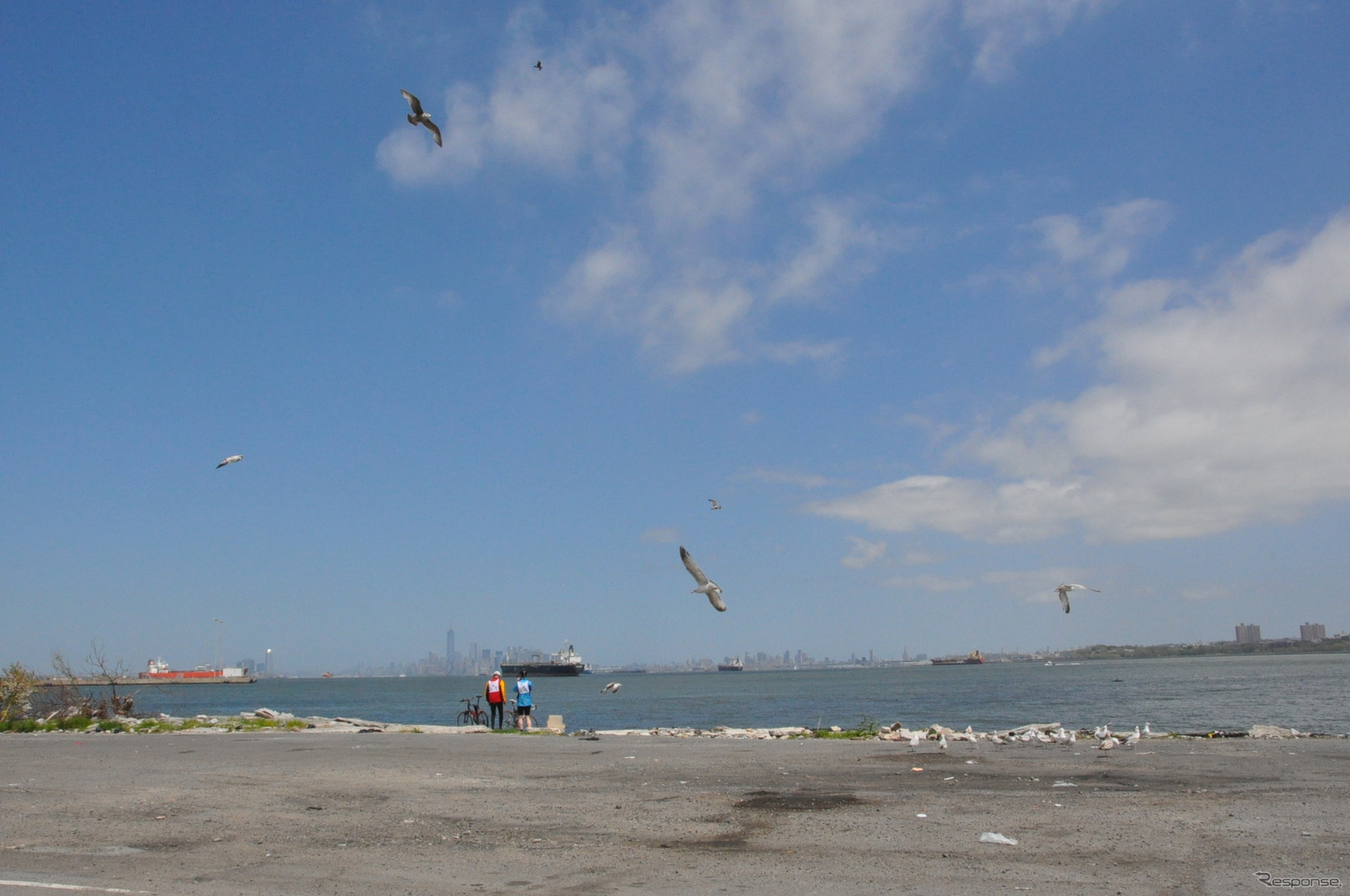 昼食会場からゴールのフェリーターミナルへ