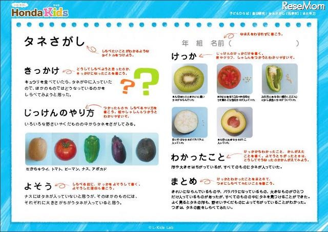 まとめ方の実例（PDF）