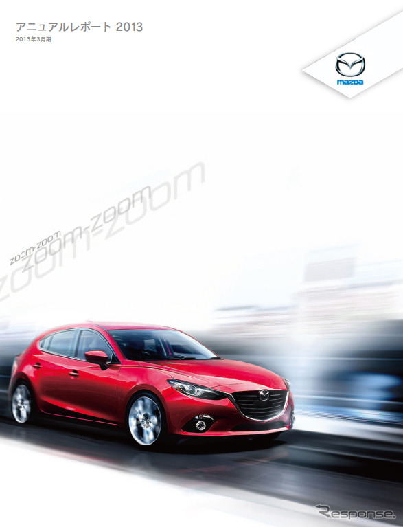 アニュアルレポート2013