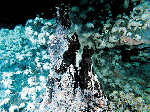 深海熱水噴出孔の写真
