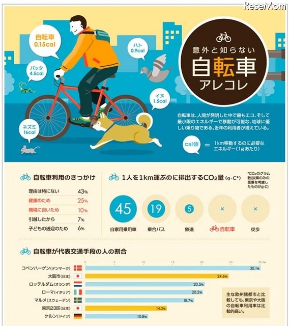 自転車のアレコレ