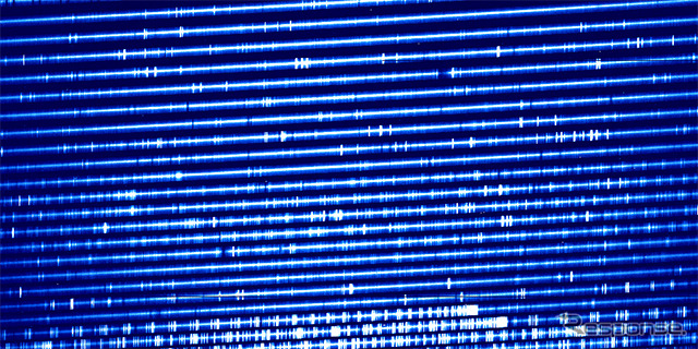 急増光中のアイソン彗星の可視光高分散スペクトルをエシェルフォーマットと呼ばれる生データのまま表示させたもの