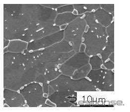 スーパーホット-Gのミクロ組織（球形化焼鈍後）