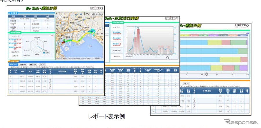 レポート表示例
