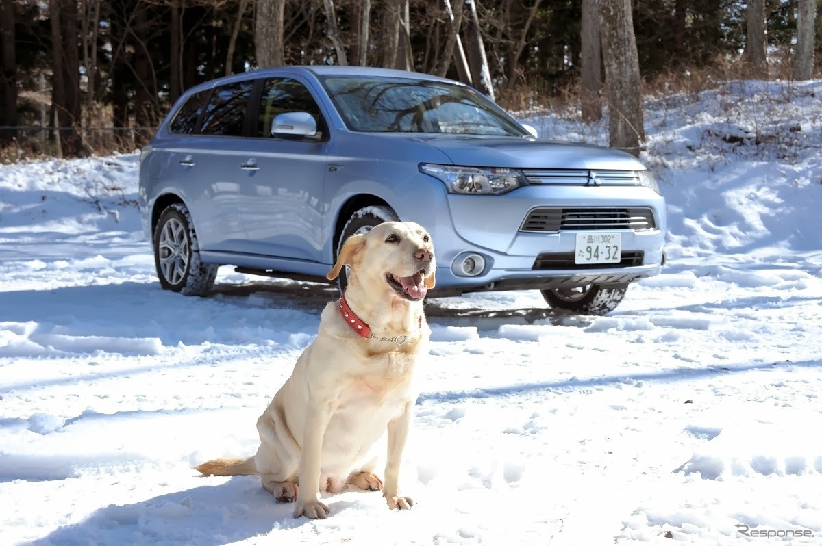アウトランダーPHEVと愛犬の旅…雪景色の富士河口湖リゾートを満喫