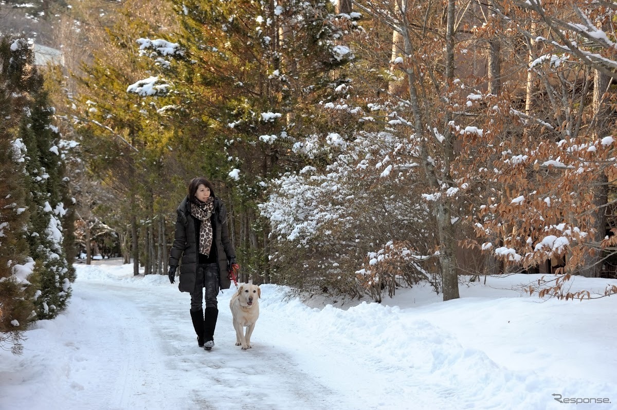 アウトランダーPHEVと愛犬の旅…雪景色の富士河口湖リゾートを満喫