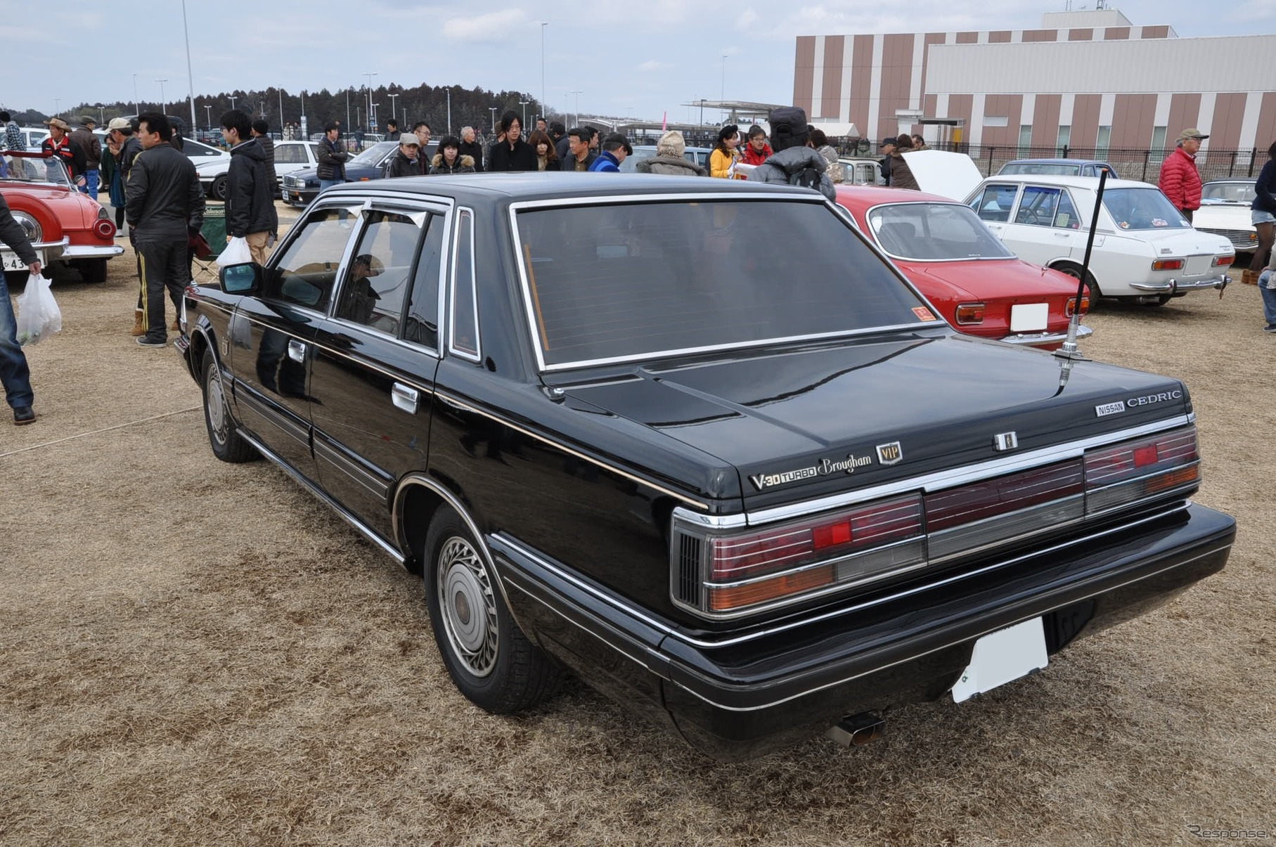 【小美玉オールドカーミーティング14】日産 シルビア/スカイライ/フェアレディ［写真蔵］