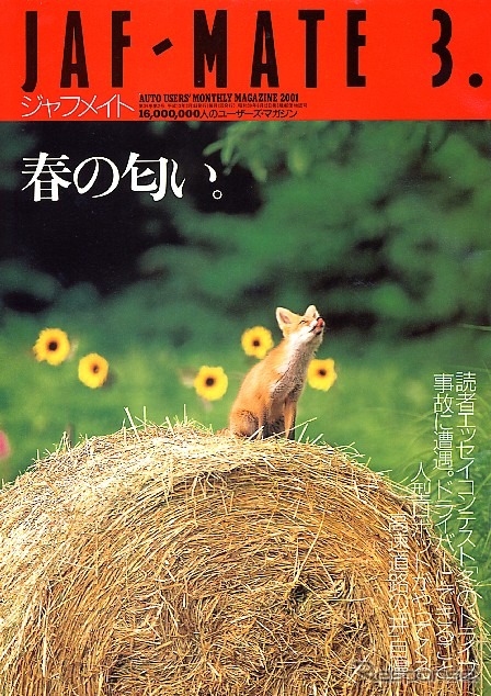 100円ライターでクルマ全焼、こんなにカンタン?