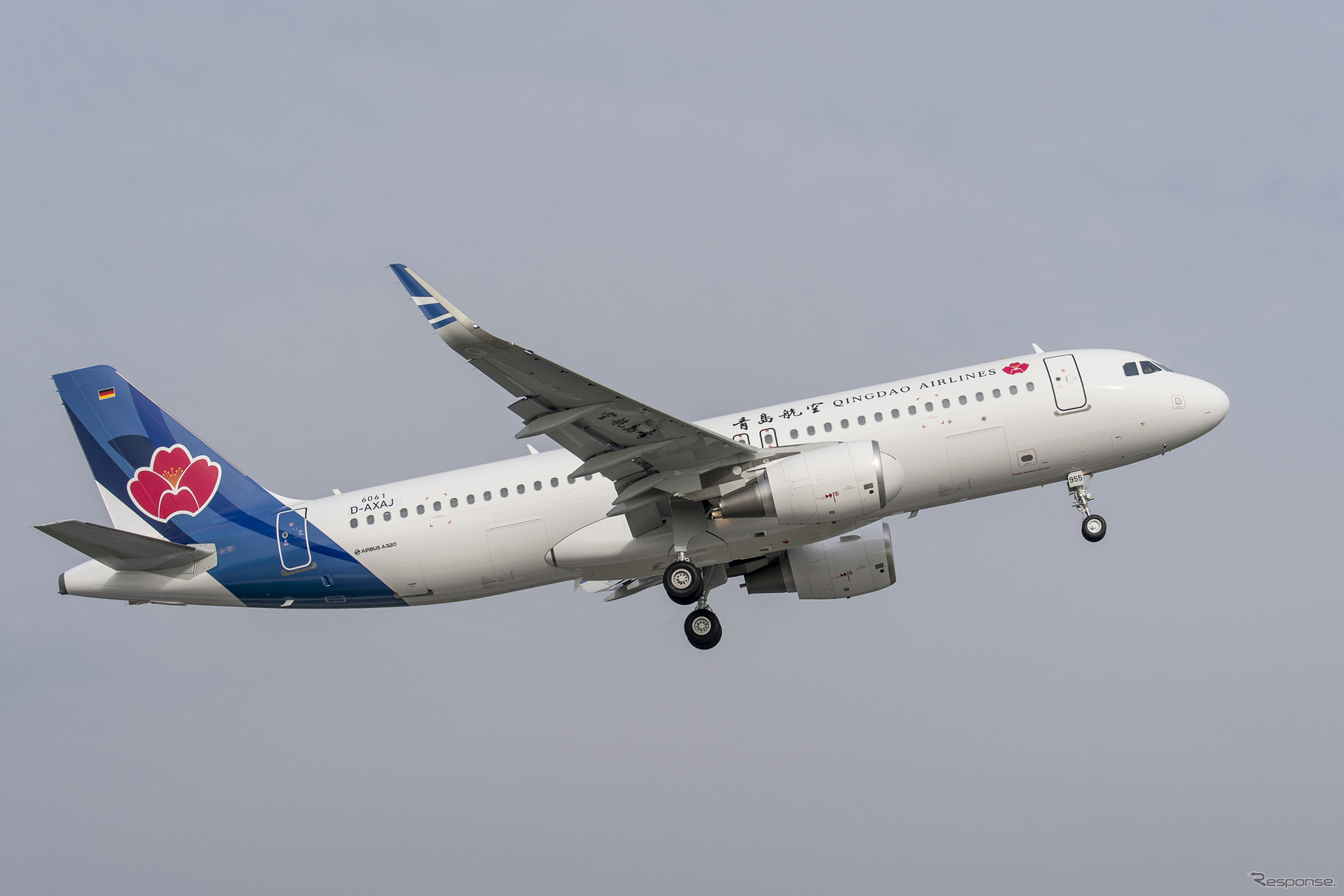 青島航空のA320