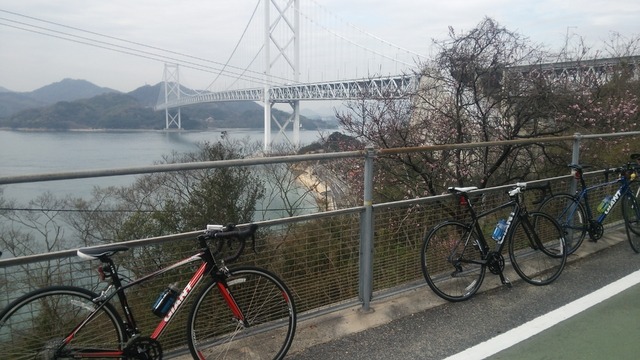 しまなみ海道サイクリングのようす