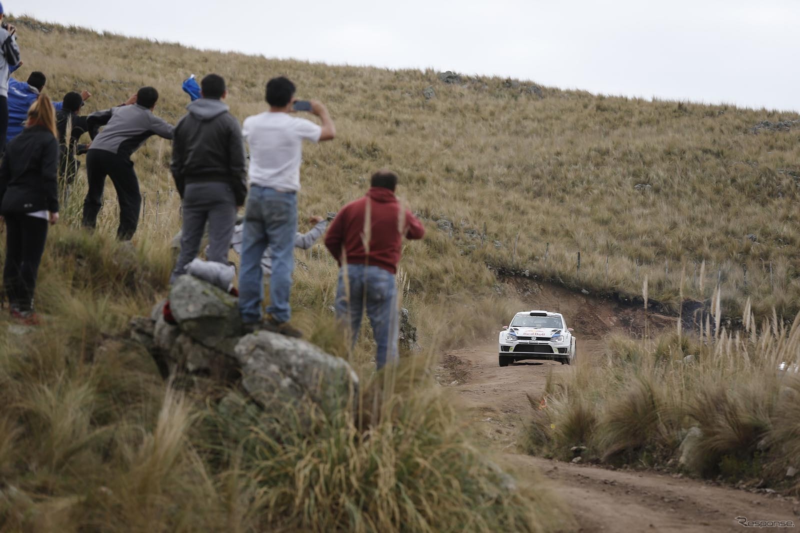 ラトバラが駆るVWポロR