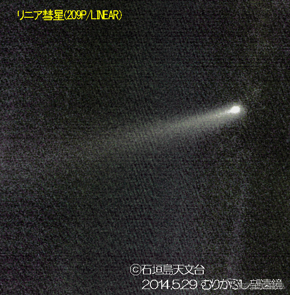 地球に最接近したリニア彗星を撮影（出典：石垣島天文台／国立天文台）
