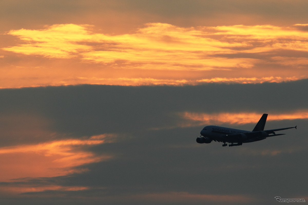 エアバス A380（シンガポール航空）