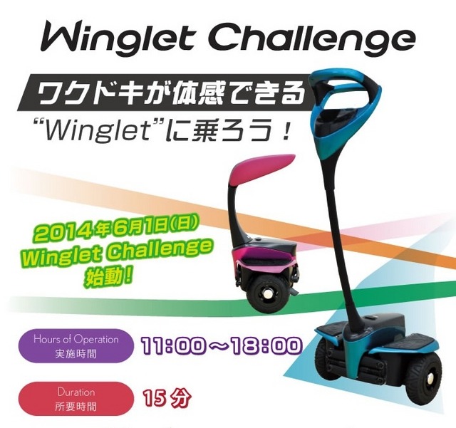 Winglet Challenge