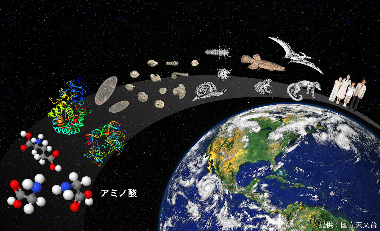 宇宙の生命素材物質の形成過程を解明（出典：国立天文台）