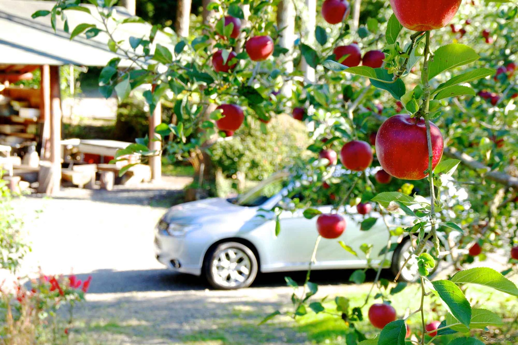 電気自動車で栗ごはんは炊けるのか？　三菱 アウトランダーPHEVで秋の味覚、食べ走り