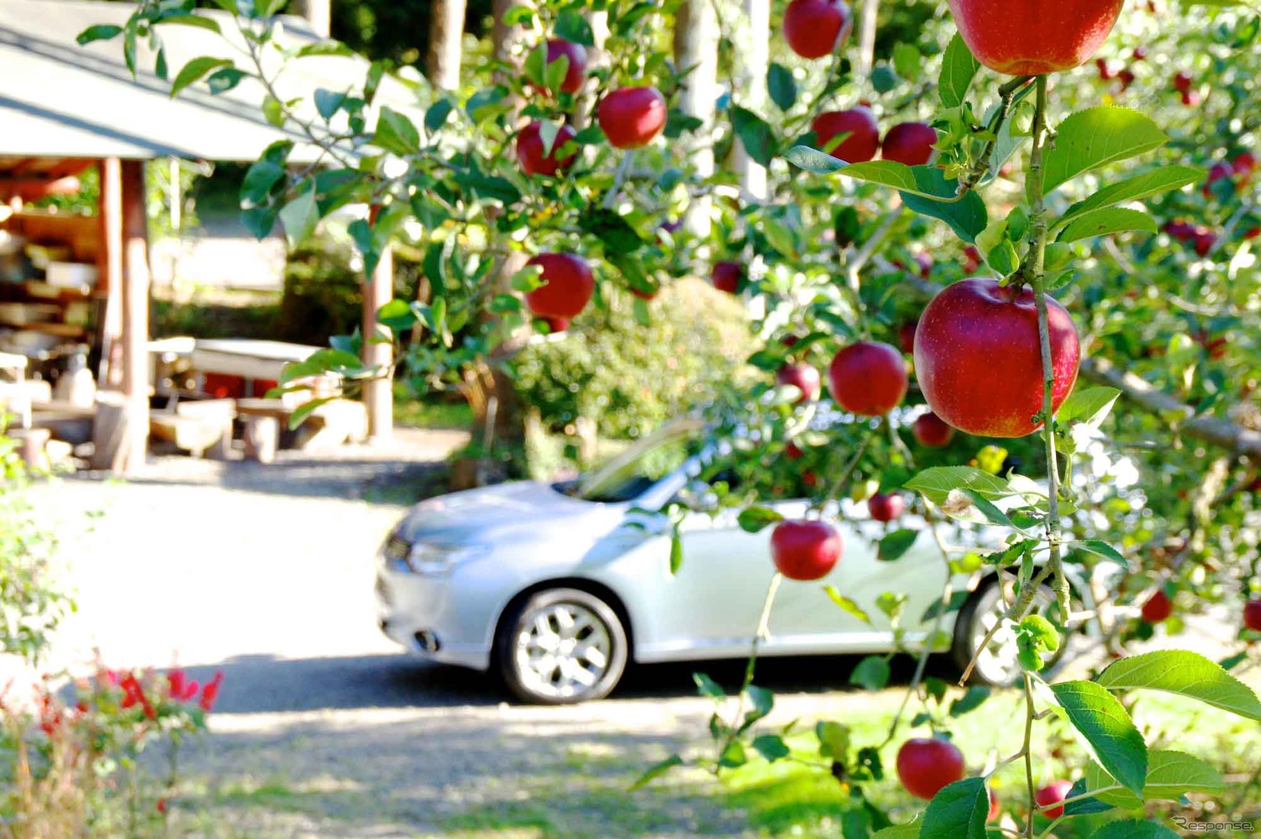 電気自動車で栗ごはんは炊けるのか？　三菱 アウトランダーPHEVで秋の味覚、食べ走り