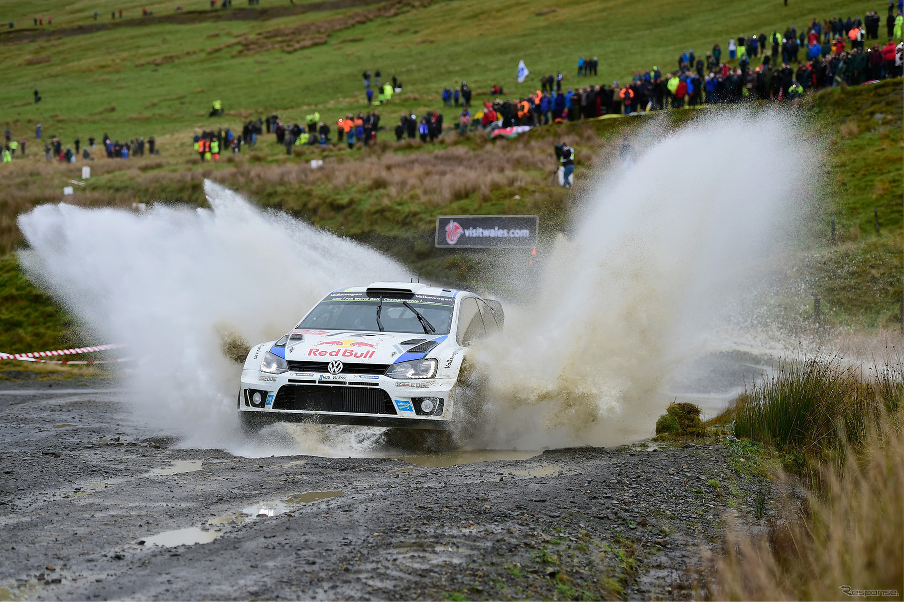VW ポロ R WRC（ラリー・グレートブリテン）