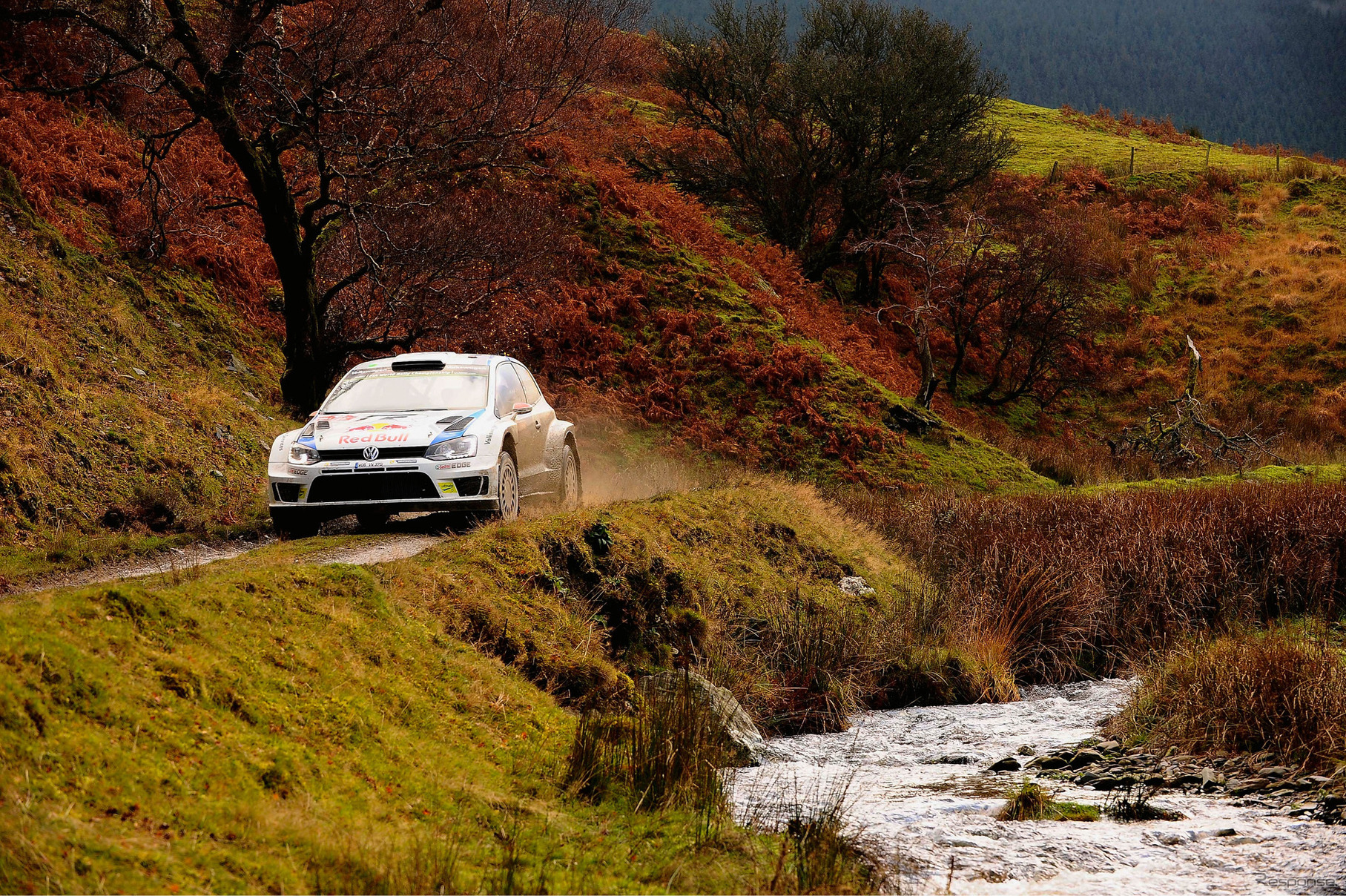 VW ポロ R WRC（ラリー・グレートブリテン）