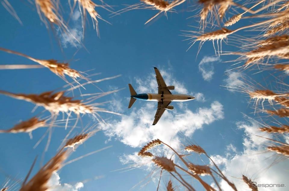 ウクライナ国際航空の旅客機（3）