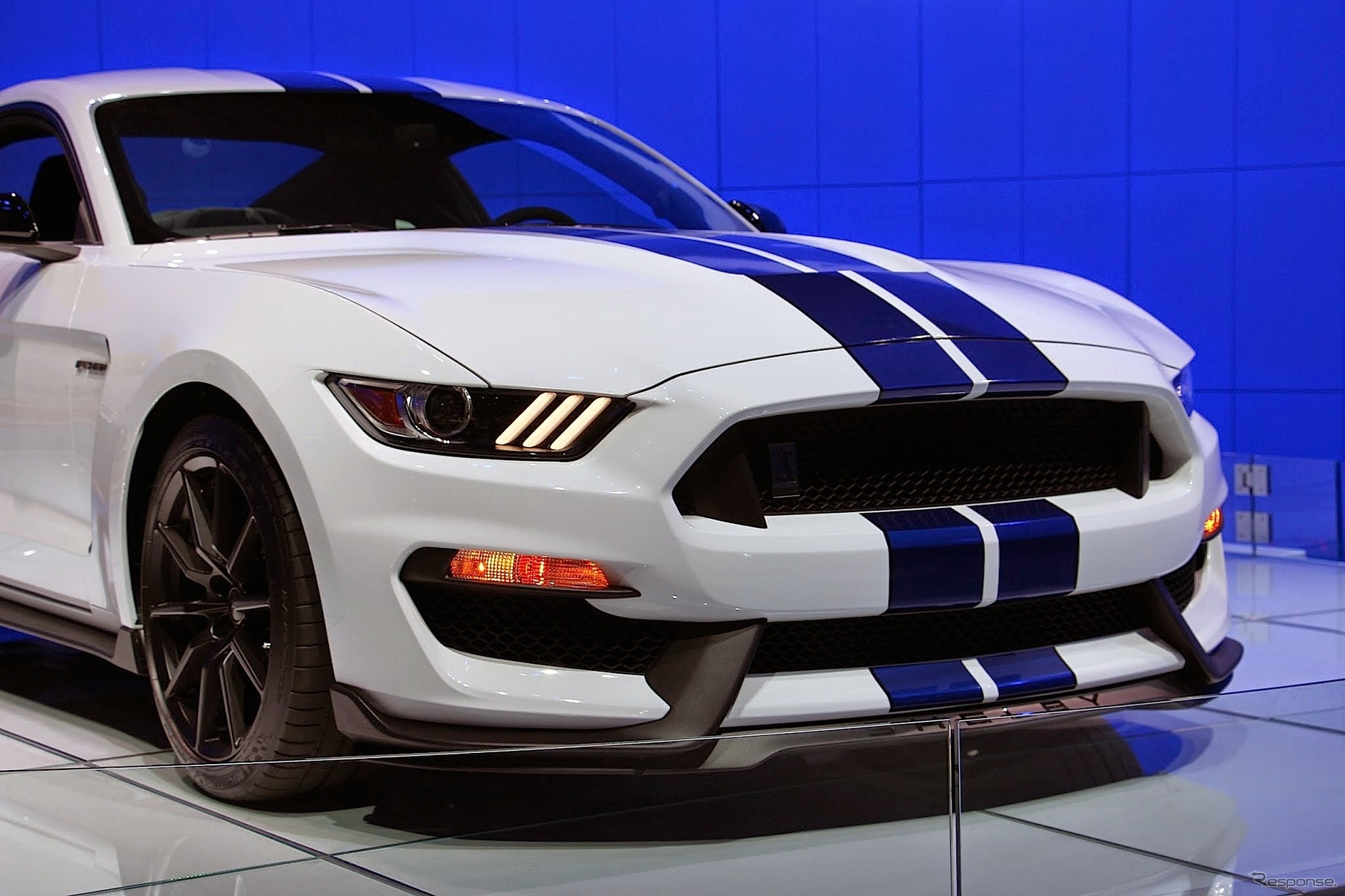 フォード マスタング シェルビー GT 350（ロサンゼルスモーターショー14）