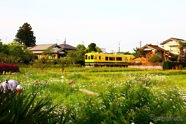 いすみ鉄道の列車。今回発売される提携記念フリー切符はいすみ鉄道が1日自由に乗り降りできる。