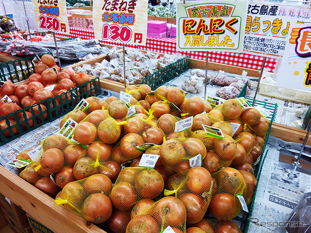 「宮古島はにんにくやたまねぎがうまいからぜひ買っていって」と市の関係者が話していた