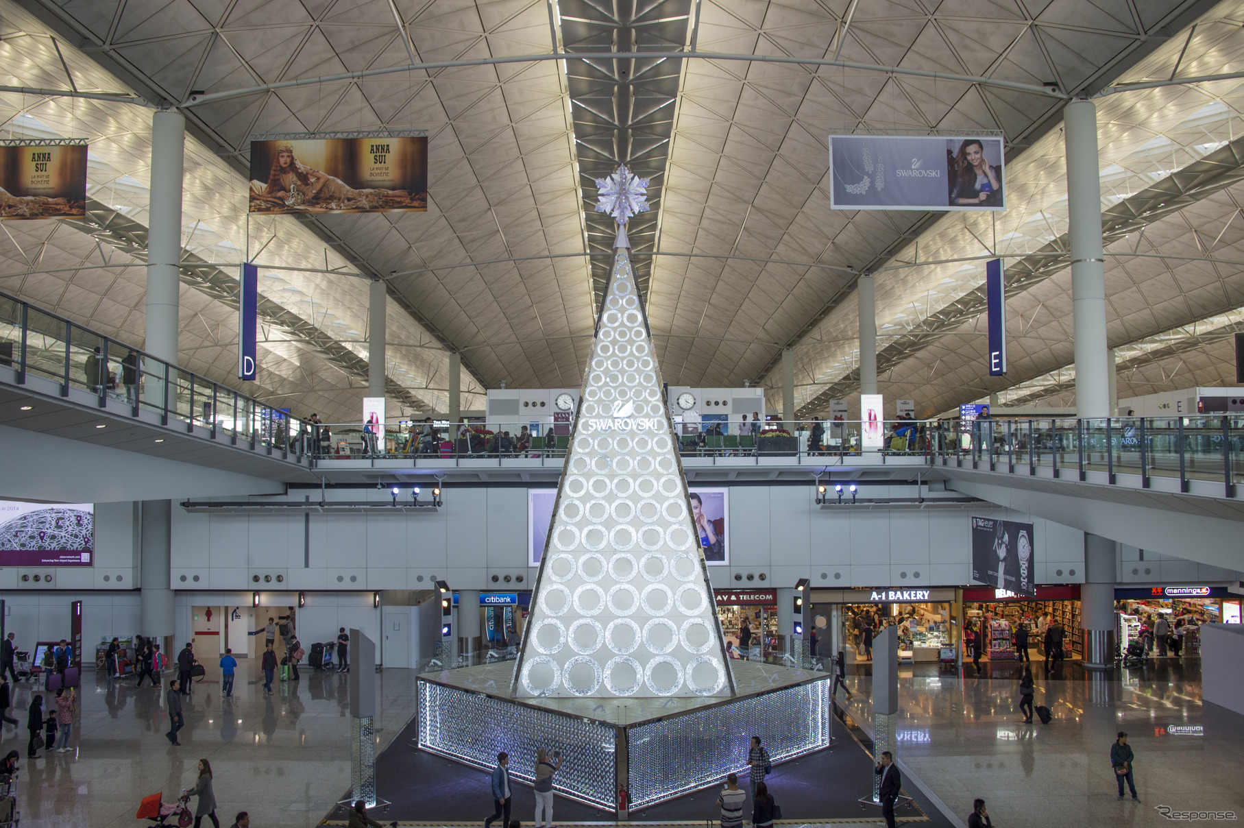 香港国際空港ターミナル内のツリー