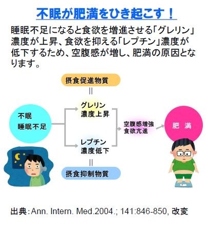 不眠が肥満を引き起こす！