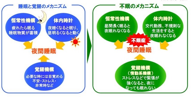 「睡眠と覚醒のメカニズム」と「不眠のメカニズム」